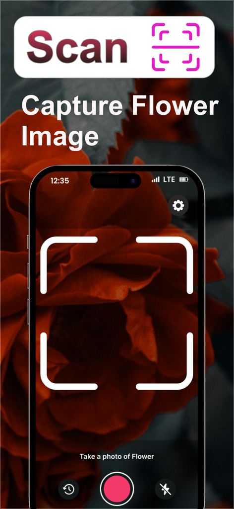 FlowerAI: Identify Flowers - FlowerAI app interface showing how to scan and capture a flower image for identification