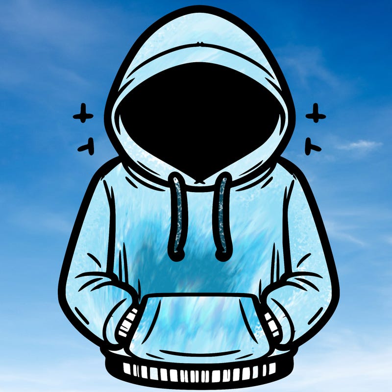 hoodie