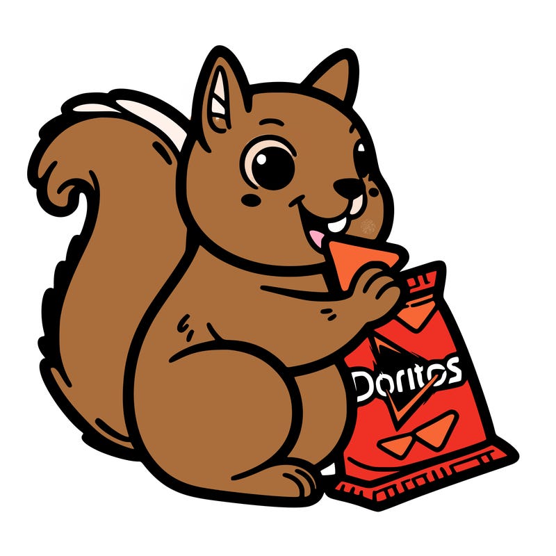 squirrel eating a bag of doritos