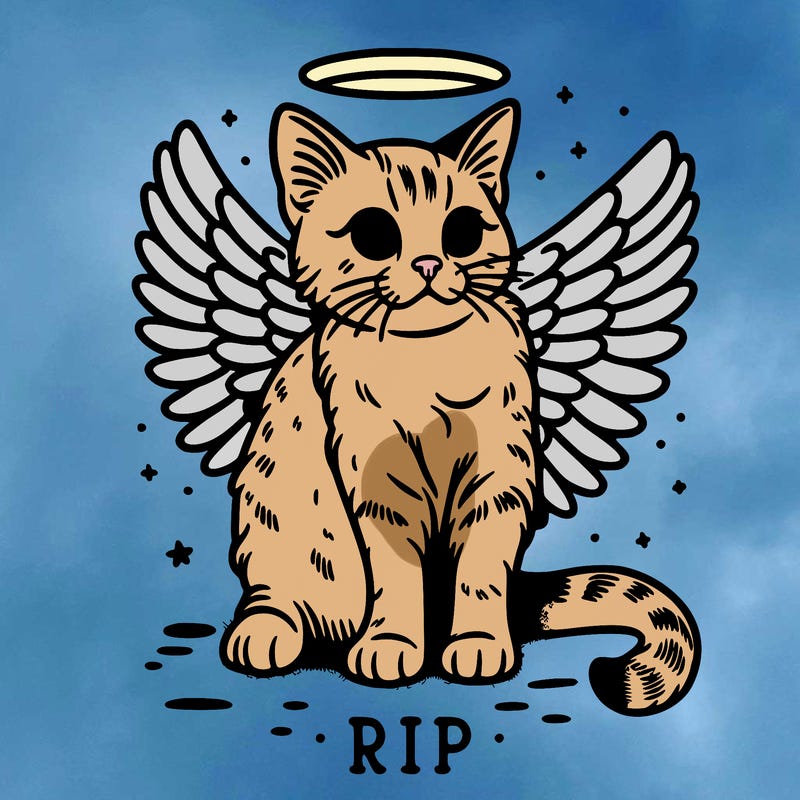 rip cat realistic cat with angel wings