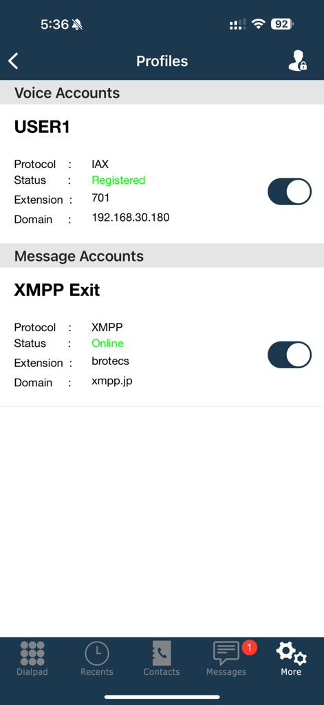 Skylar - Skylar 앱 프로필 화면 스크린샷. 등록 상태가 표시된 구성된 음성 및 메시지 계정이 표시됩니다.