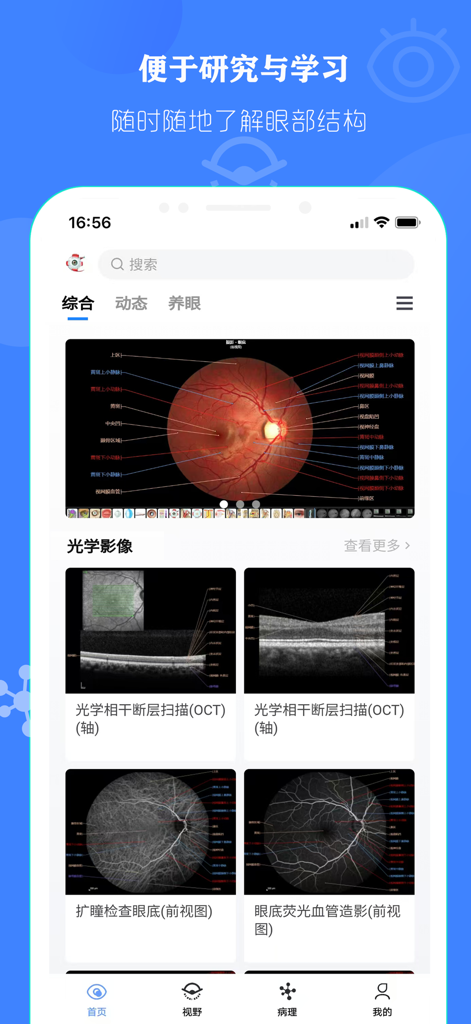 Captura de pantalla de la aplicación Eye Anatomy que muestra fotografía de fondo y escáneres de tomografía de coherencia óptica para estudio médico