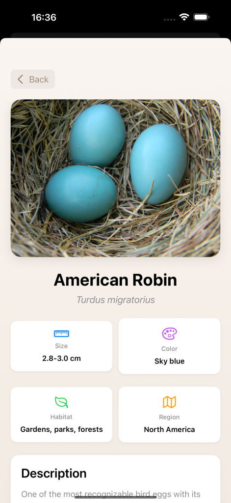 Bird Egg Collection Ai - サイズ、色、生息地を含むアメリカコマドリの卵の識別詳細を示すモバイルアプリ画面。