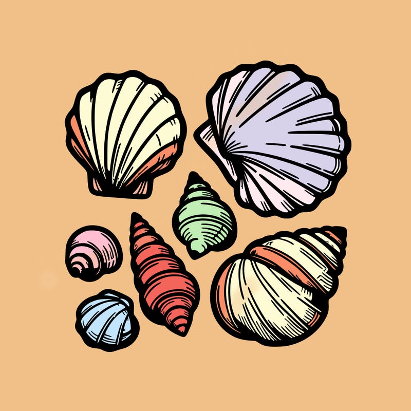 shells