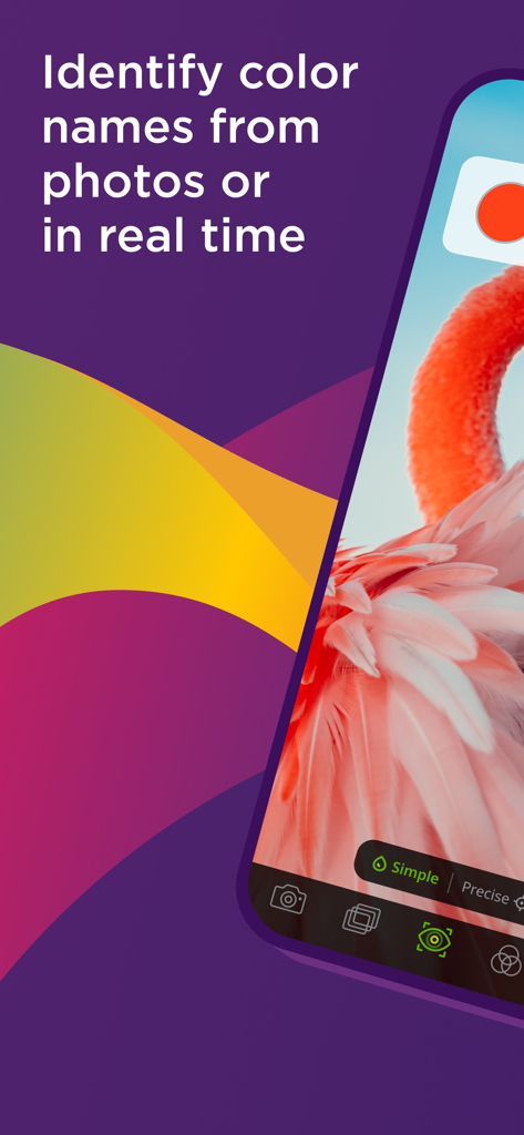 Color Name AR 앱을 사용하여 실시간으로 플라밍고 깃털의 분홍색을 식별하는 스마트폰
