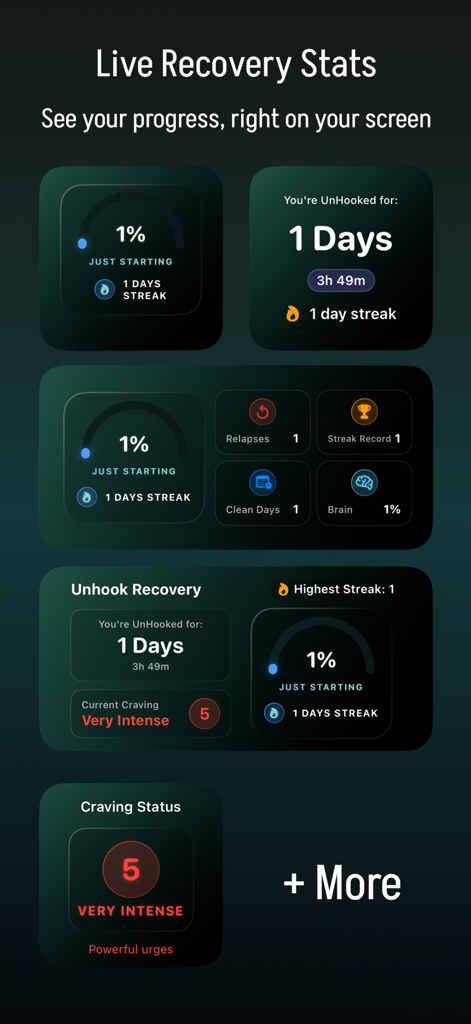 Unhook: Quit Porn & Reboot - Unhook app dashboard displaying recovery progress widgets, including streak counter and craving status