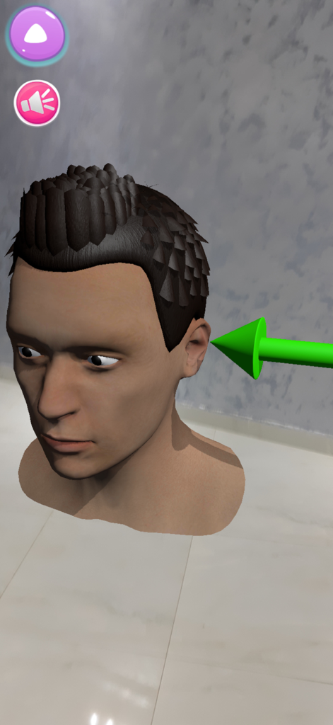 3D augmented reality model of a human head with an arrow pointing to the ear