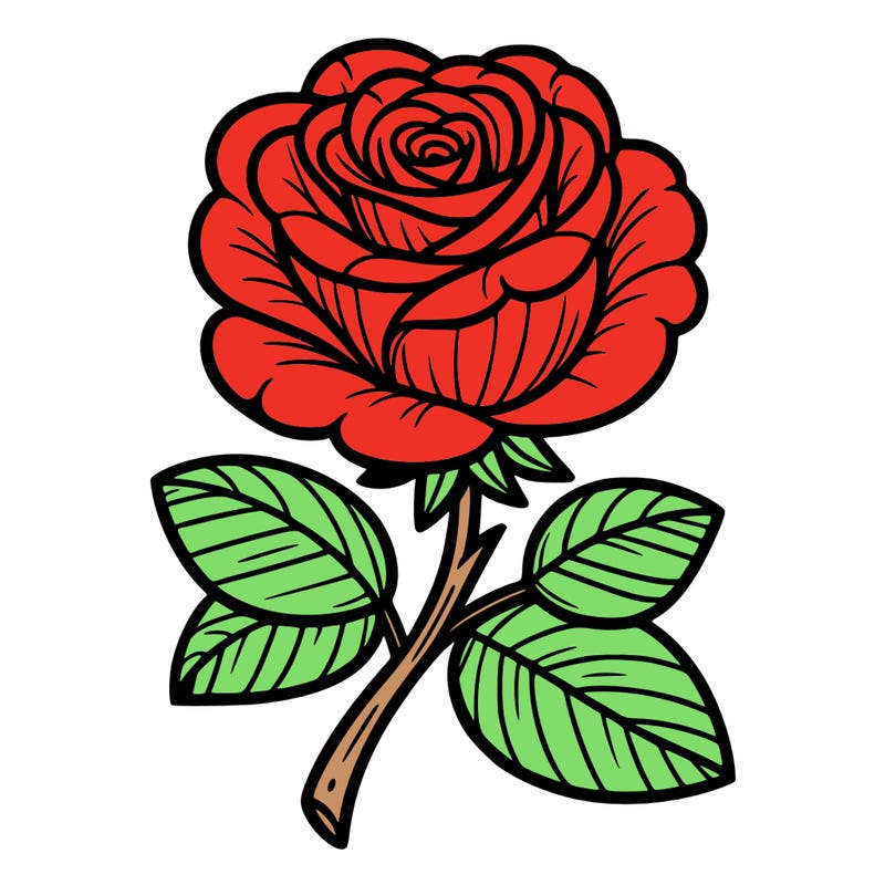 rosa