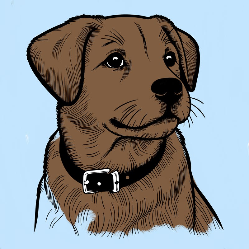 dog realistic