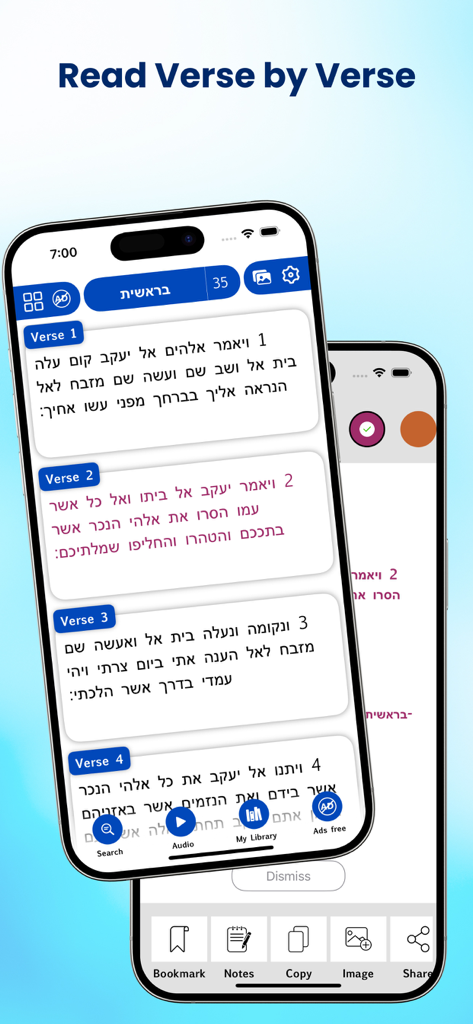 Tela de iPhone mostrando a interface do aplicativo Bíblia Hebraica com leitura versículo por versículo em texto hebraico