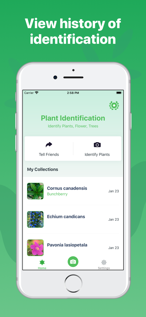 Plant Identification ++ - Ein Smartphone-Bildschirm, der eine Liste identifizierter Pflanzen im Abschnitt „Meine Sammlungen“ der App anzeigt