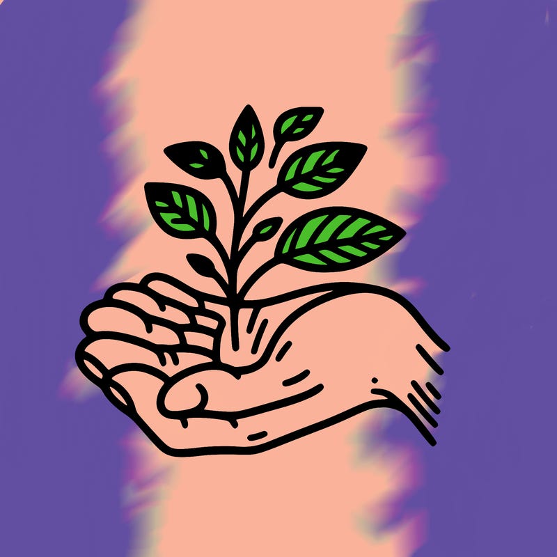 hand with plant