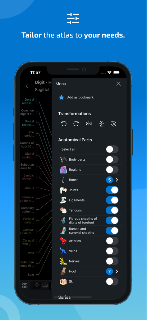 IMAIOS vet-Anatomy - Customization menu in the IMAIOS vet-Anatomy app showing options to filter anatomical parts and apply image transformations.