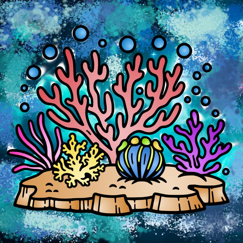 coral reefs outline