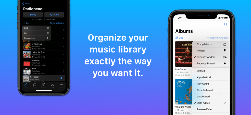 Cs Music Pro - Interface of Cs Music Pro showing advanced music library organization and sorting options on iPhone