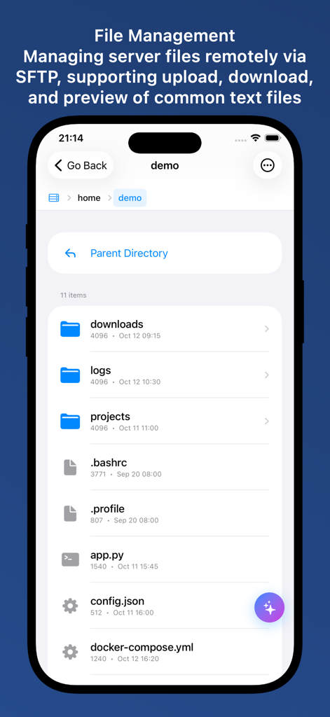 Nexus Terminal - Nexus Terminal app showing SFTP remote file management interface on an iPhone with folders and server files