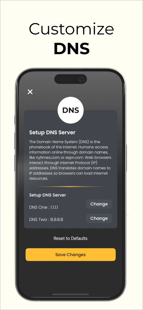 VPNSix - Optimized and Fast - Interfaz de la aplicación VPNSix mostrando la configuración personalizada del servidor DNS