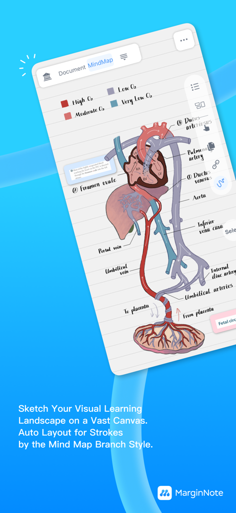 MarginNote 4: AI Notes·MindMap - A medical illustration of the circulatory system organized within a visual mind map in the MarginNote 4 app interface