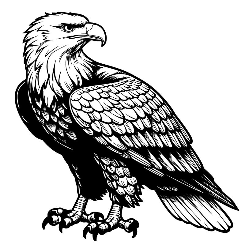 realistic eagle