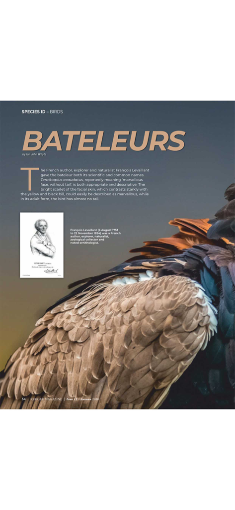Kruger Magazine - A digital magazine page about Bateleur eagle species identification with a close-up photo of feathers.