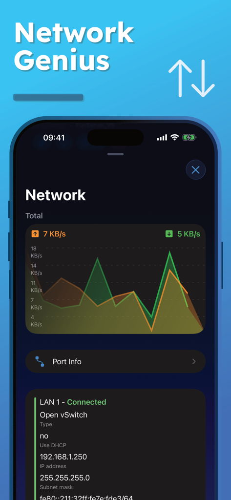 Real-time network traffic graphs and LAN connection details in the NAS Pro app.