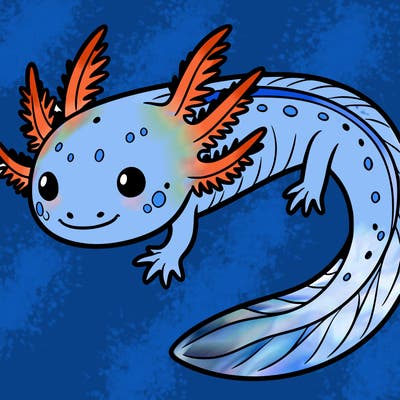 axolotl