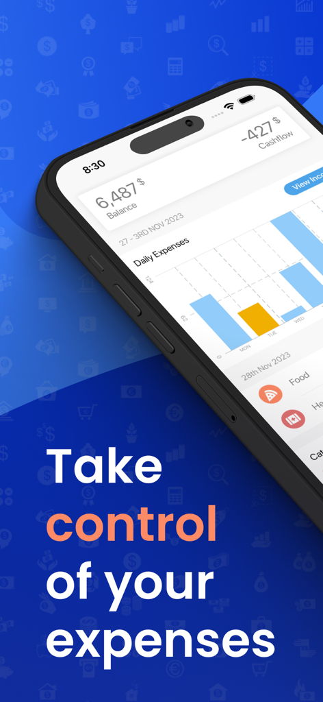 Expense Now モバイルアプリのインターフェース。毎日の支出グラフと財務残高の概要が表示されています