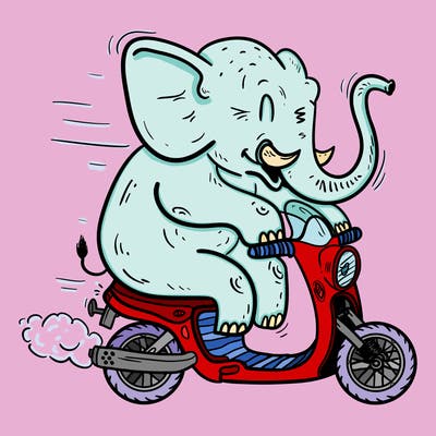 animals_21