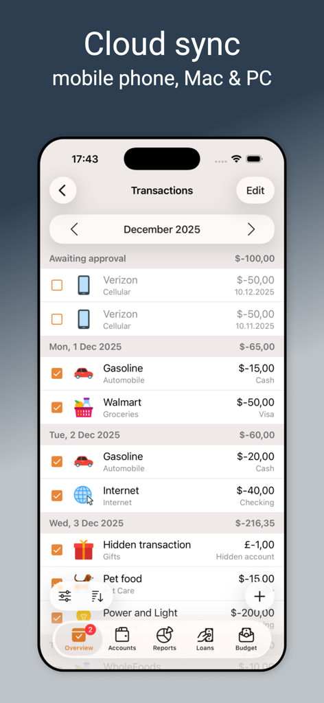 A detailed transaction history screen in the Alzex Finance Pro app displaying categorized expenses and cloud sync options.