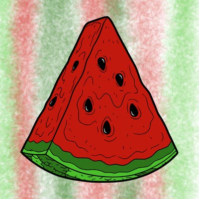 water melon slice