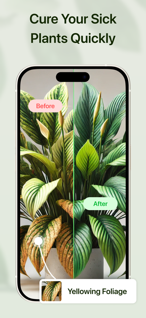 Plant AI - Identify & Care - Interface de l'application Plant AI démontrant le diagnostic des maladies avec une comparaison avant et après de feuillage jaunissant