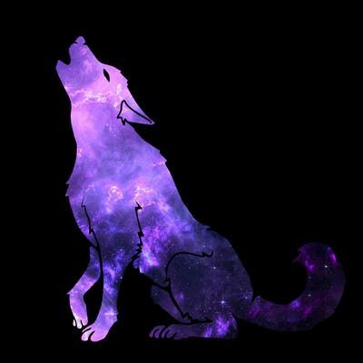 animals_36