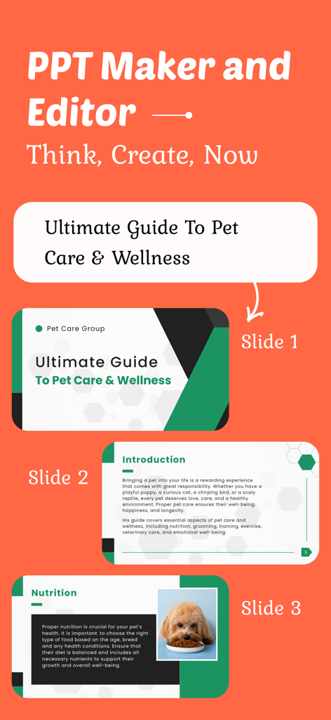 Ai PPT Maker App : PPT Editor - Diapositivas de ejemplo para una guía de cuidado de mascotas creadas usando la interfaz de la app AI PPT Maker y Editor