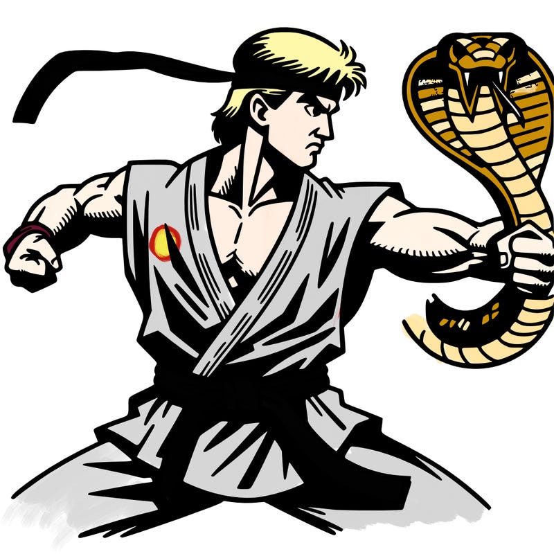 cobra kai strike first strike hard no mercy karate