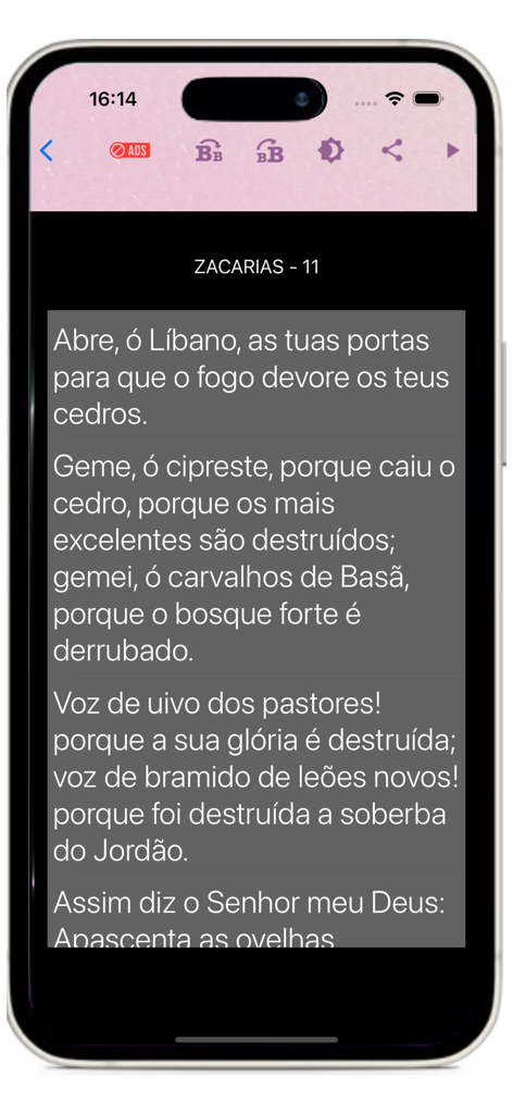 Reading interface of the Biblia da Mulher app showing a chapter from the book of Zechariah in Portuguese.