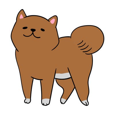 animals_29