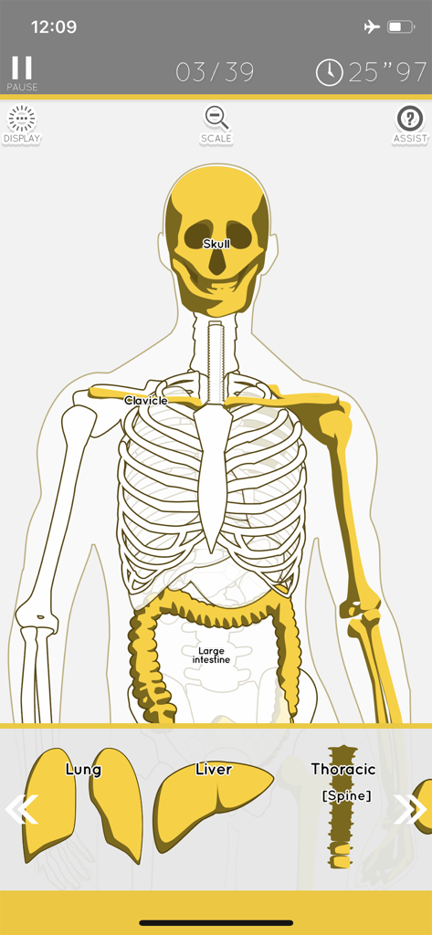 Educational game screen showing a human anatomy jigsaw puzzle with bones and organs.