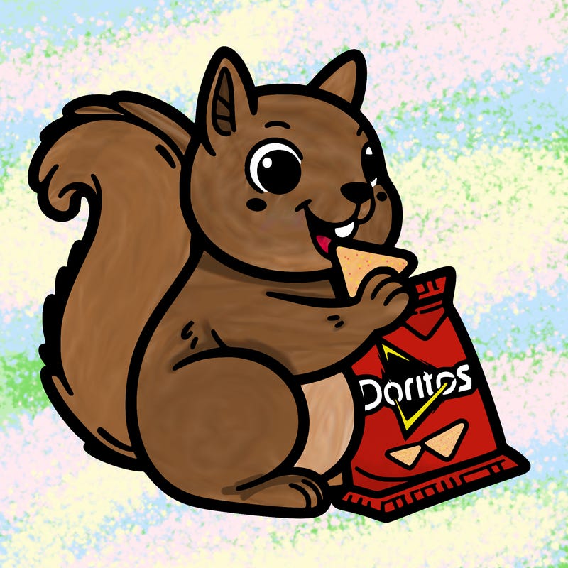 squirrel eating a bag of doritos