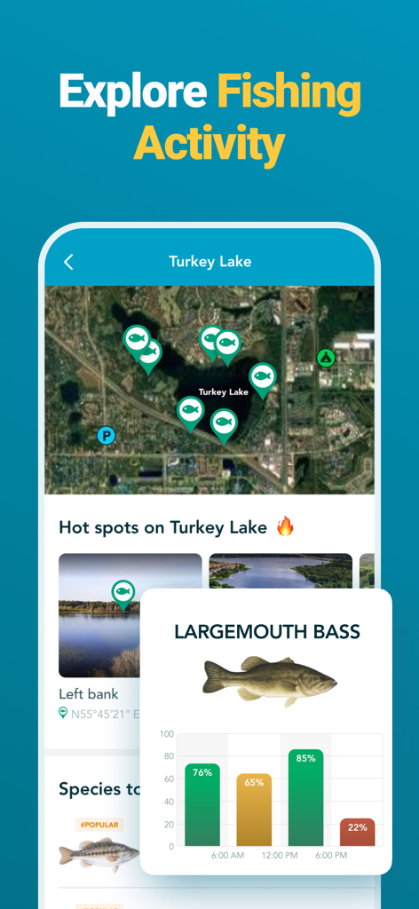 Karte von Angel-Hotspots am Turkey Lake mit Barsch-Aktivitätsdiagramm