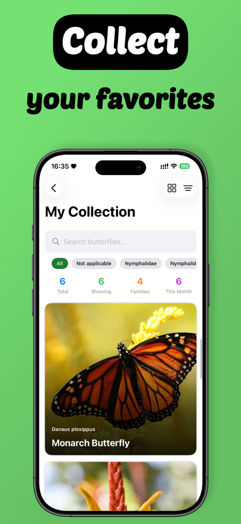 Butterfly Identifier with AI - Una pantalla de teléfono inteligente que muestra la función Mi Colección de la aplicación Identificador de Mariposas con una entrada de mariposa Monarca.
