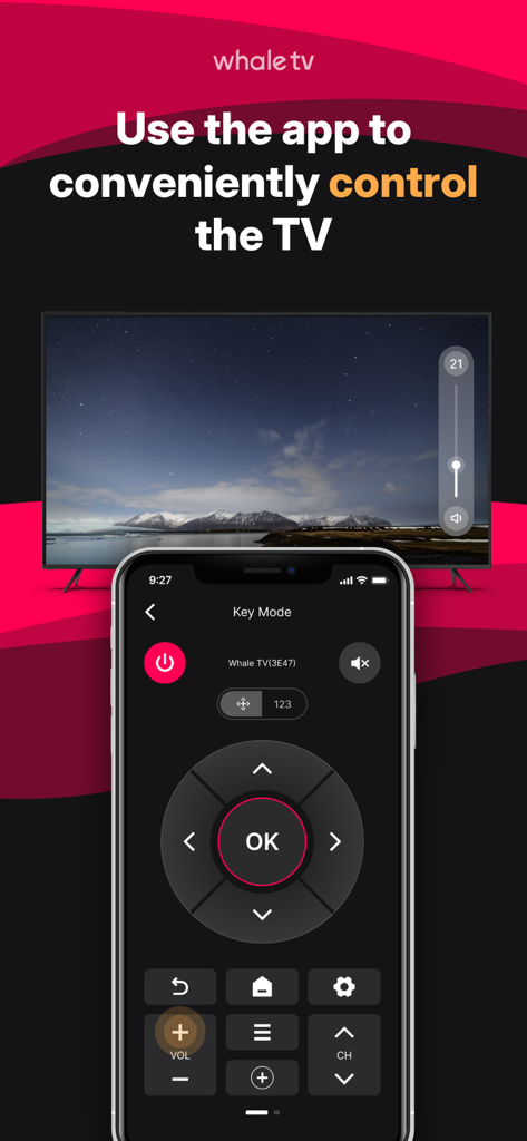 Whale TV app - Whale TV app remote control interface displayed on a smartphone screen
