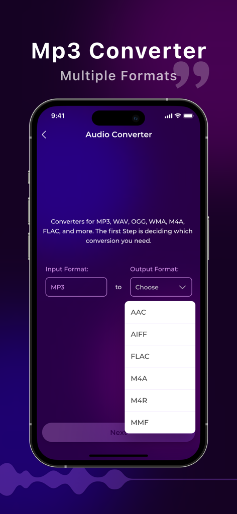 Oberfläche des Audio-Konverters, die mehrere Ausgabeformate wie AAC und FLAC zeigt