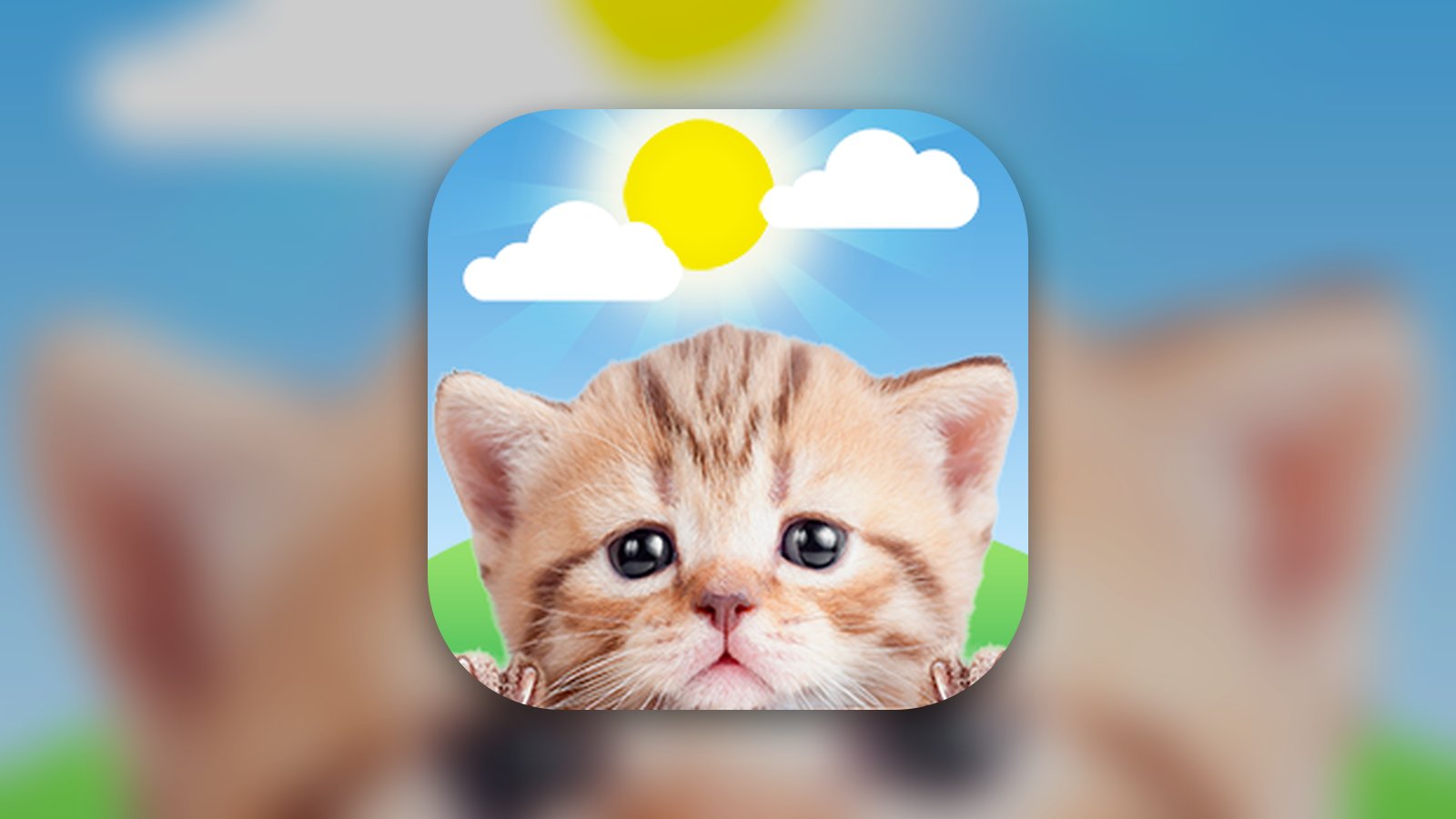 Weather Kitty: Weather + Radar - Weather App | MWM