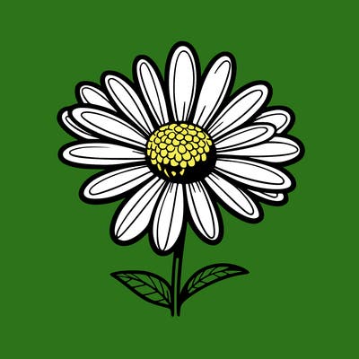 daisy