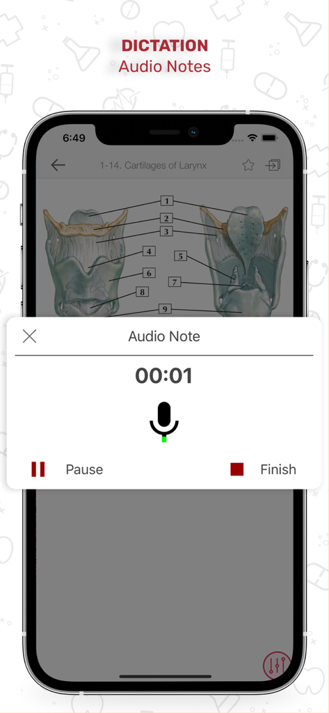 Netters Anatomy Flash Cards - Interface of the Netter's Anatomy Flash Cards app showing the audio notes and dictation feature for medical study.