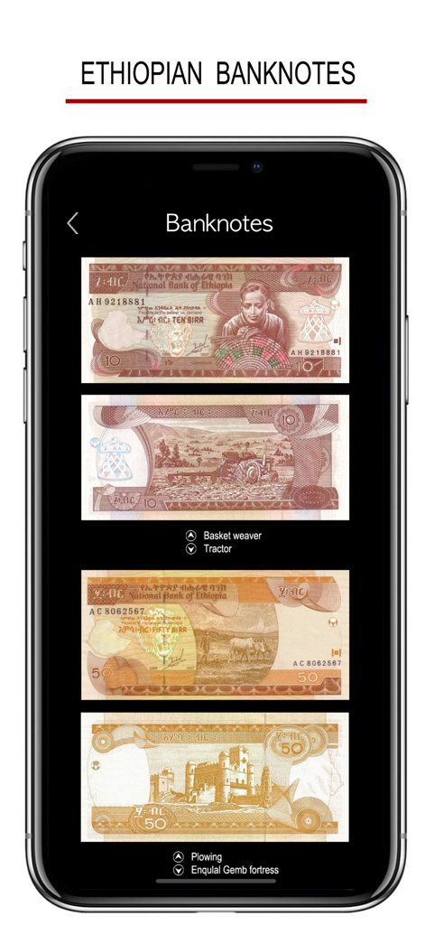 Educational screen within the Amharic learning app displaying various Ethiopian banknotes and descriptions of their cultural imagery