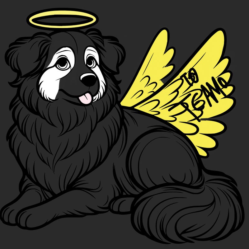 realistic mini australian shepard dog with halo