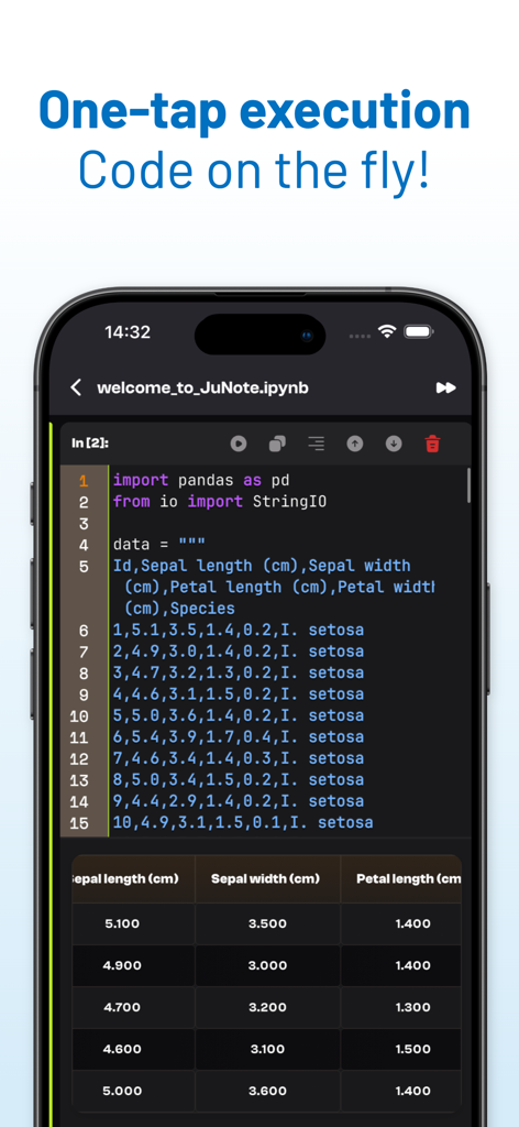 JuNote app interface showing Python code execution with a Pandas data table on a smartphone