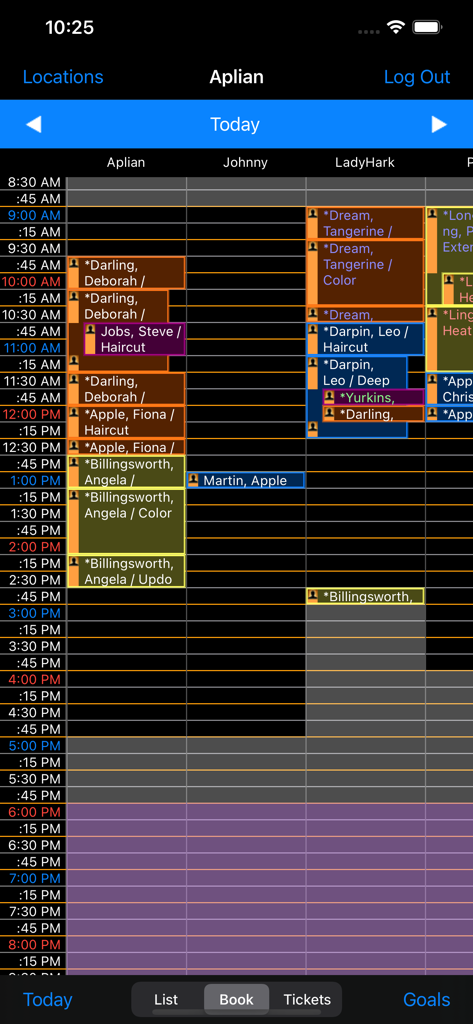Graphical daily appointment book showing salon staff schedules in the STX app
