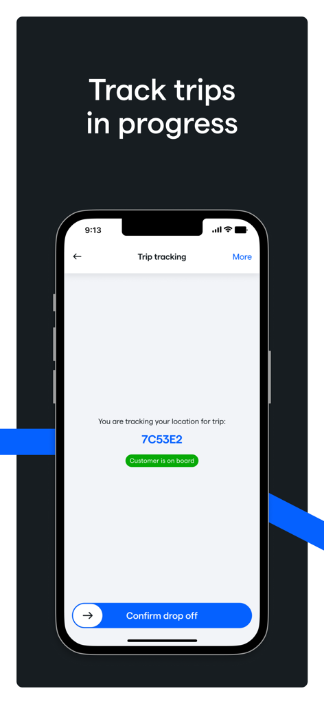Daytrip Driver - Pantalla de la aplicación Daytrip Driver que muestra el seguimiento de un viaje con un cliente a bordo y un botón para confirmar la entrega